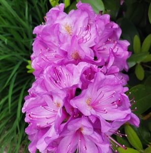 Meet your Posher, Gina